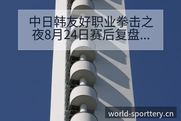 中日韩友好职业拳击之夜8月24日赛后复盘与风险变化观察体 - 体育彩票